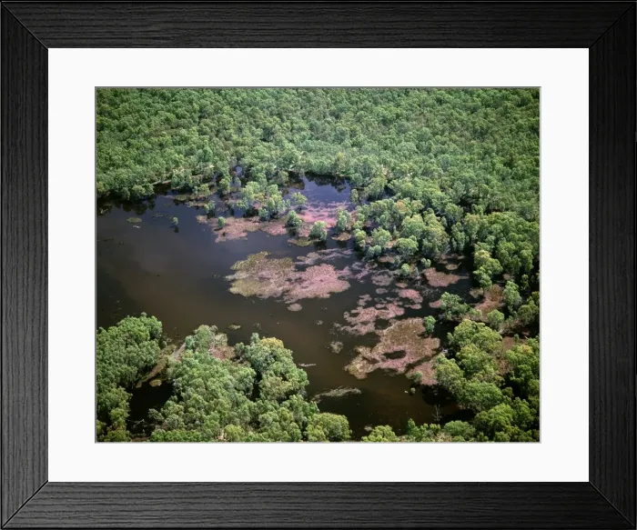 Framed Print : Aerial - Murray River and billabong - near Wentworth, New South Wales, Australia, JLR06370 Framed Print : Aerial - Murray River and billabong - near Wentworth, New South Wales, Australia, JLR06370
