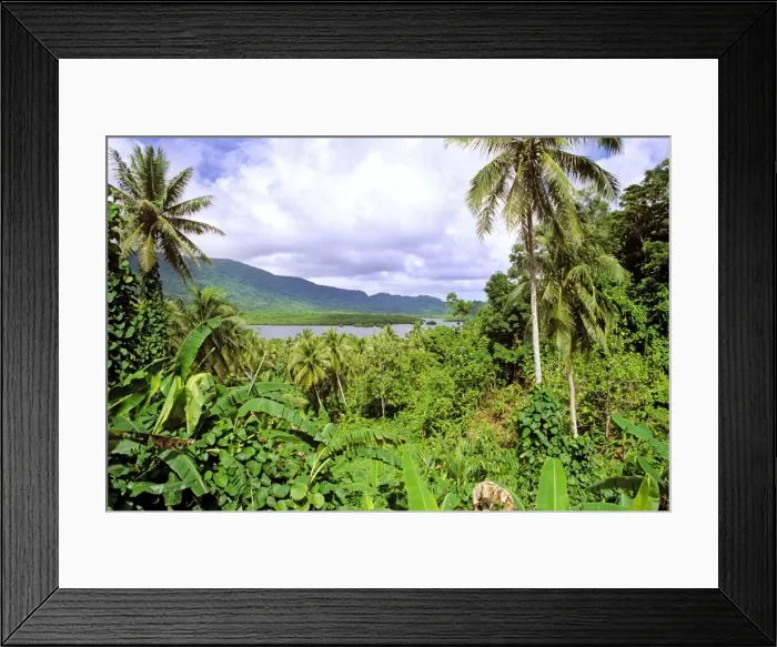 Framed Print : Pohnpei Island view through dense vegetation to a bay Micronesia JLR04158 Framed Print : Pohnpei Island view through dense vegetation to a bay Micronesia JLR04158