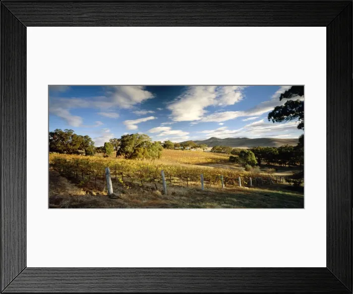 Framed Print : Cathcart Ridge Winery Ararat, western Victoria, Australia JLR07640 Framed Print : Cathcart Ridge Winery Ararat, western Victoria, Australia JLR07640