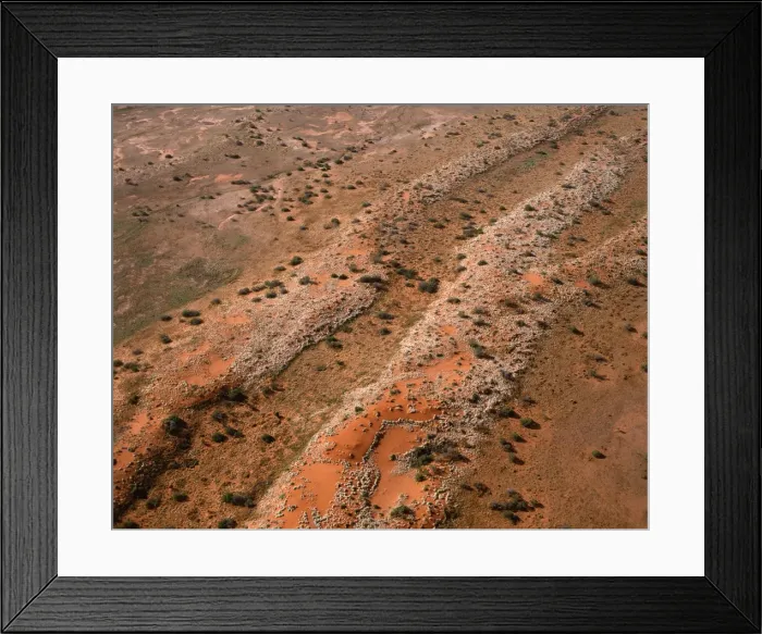 Framed Print : Red longitudinal sand dunes Strzelecki Desert, South Australia JPF41295 Framed Print : Red longitudinal sand dunes Strzelecki Desert, South Australia JPF41295