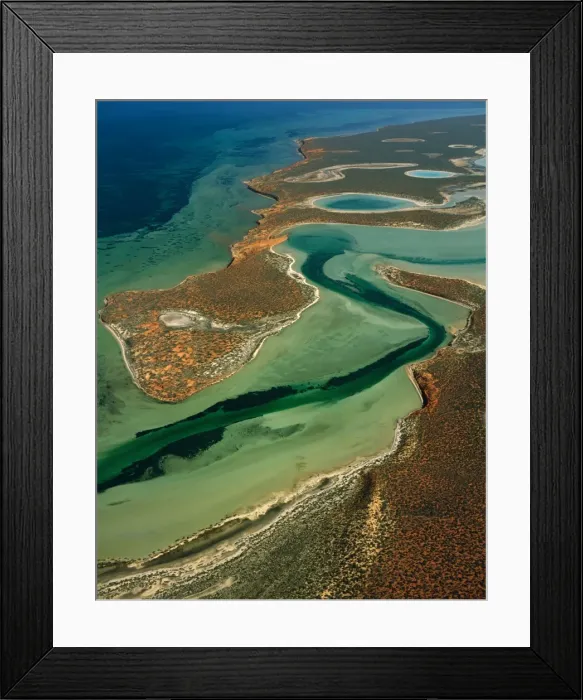 Framed Print : Big Lagoon Aerial from 2000 feet. Francois Peron National Park, Shark Bay, Western Australia JPF43555 Framed Print : Big Lagoon Aerial from 2000 feet. Francois Peron National Park, Shark Bay, Western Australia JPF43555