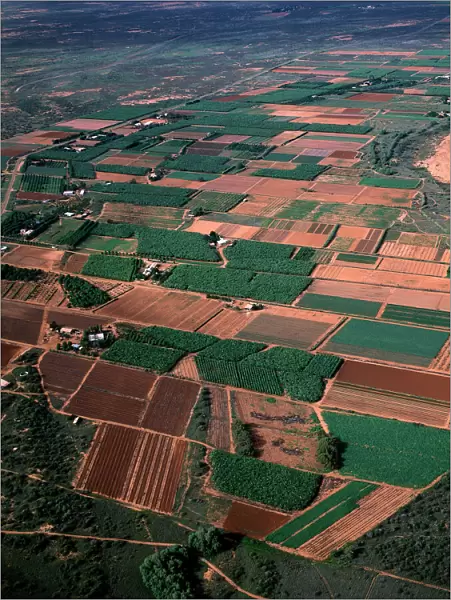 Aerial: fruit  /  vegetable crops Geraldton area, Western Australia JPF46482