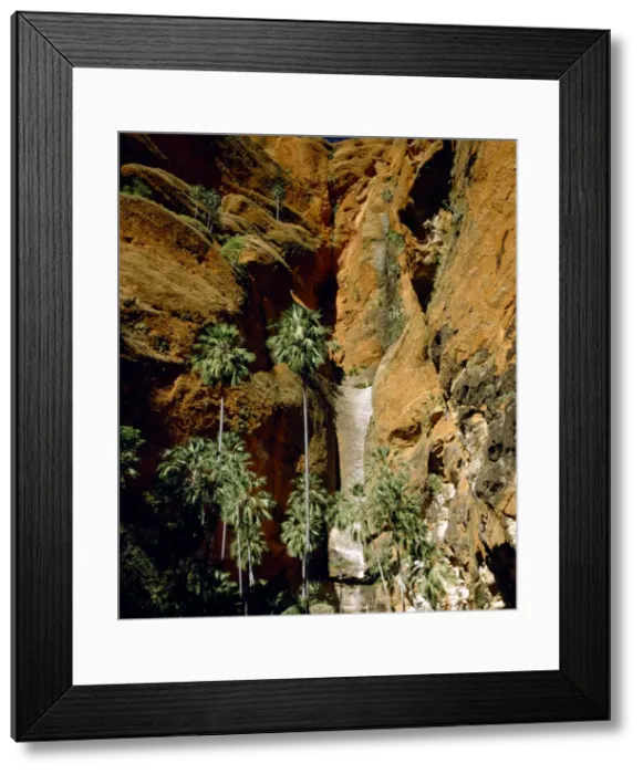 Framed Print : Froghole Gorge with undescribed palms & boulders of Devonian conglomerate - Purnululu National Park, Kimberley region, Western australia JPF51718 Framed Print : Froghole Gorge with undescribed palms & boulders of Devonian conglomerate - Purnululu National Park, Kimberley region, Western australia JPF51718