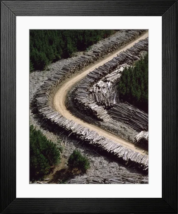 Framed Print : Aerial - Timber loading Northeastern Tasmania, Australia JPF49498 Framed Print : Aerial - Timber loading Northeastern Tasmania, Australia JPF49498