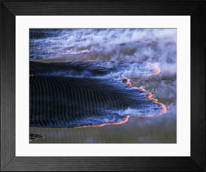 Framed Print : Fire (burning-off) Southern Australia, February, Tasmania JPF49472 Framed Print : Fire (burning-off) Southern Australia, February, Tasmania JPF49472