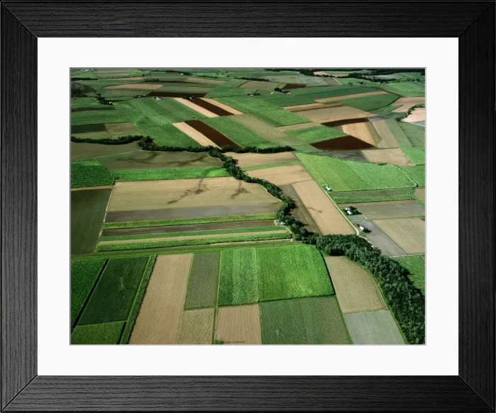 Framed Print : Aerial - Canefields near Cairns North Queensland, Australia JPF50155 Framed Print : Aerial - Canefields near Cairns North Queensland, Australia JPF50155
