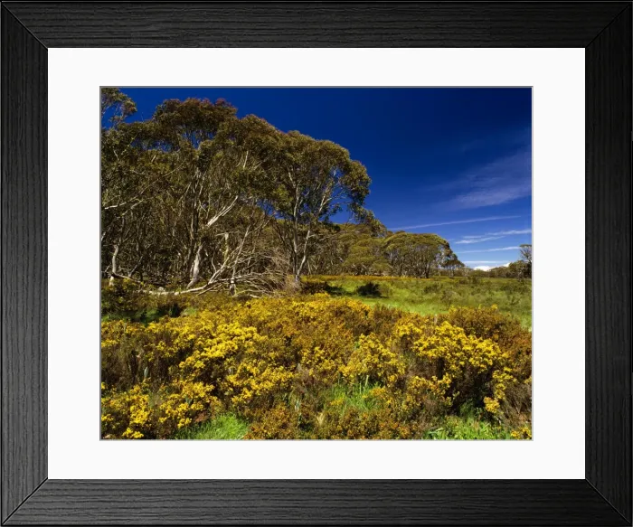 Framed Print : Brindabella Range Namadgi National Park, Australian Capital Territory JPF02986 Framed Print : Brindabella Range Namadgi National Park, Australian Capital Territory JPF02986
