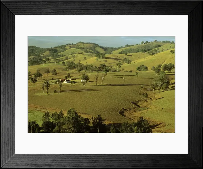 Framed Print : Rural scene Hunter Valley, New South Wales, Australia JPF52681 Framed Print : Rural scene Hunter Valley, New South Wales, Australia JPF52681