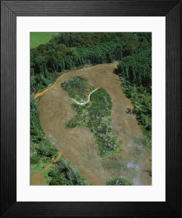 Framed Print : Logging roads & forest clearing showing loss of biodiversity near Cumberland Lake, West coast, Tasmania, Australia JPF52303 Framed Print : Logging roads & forest clearing showing loss of biodiversity near Cumberland Lake, West coast, Tasmania, Australia JPF52303