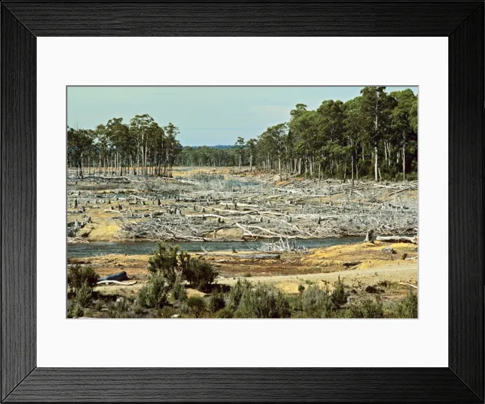 Framed Print : Clear-felling Derwent Valley, Tasmania, Australia JPF00666 Framed Print : Clear-felling Derwent Valley, Tasmania, Australia JPF00666