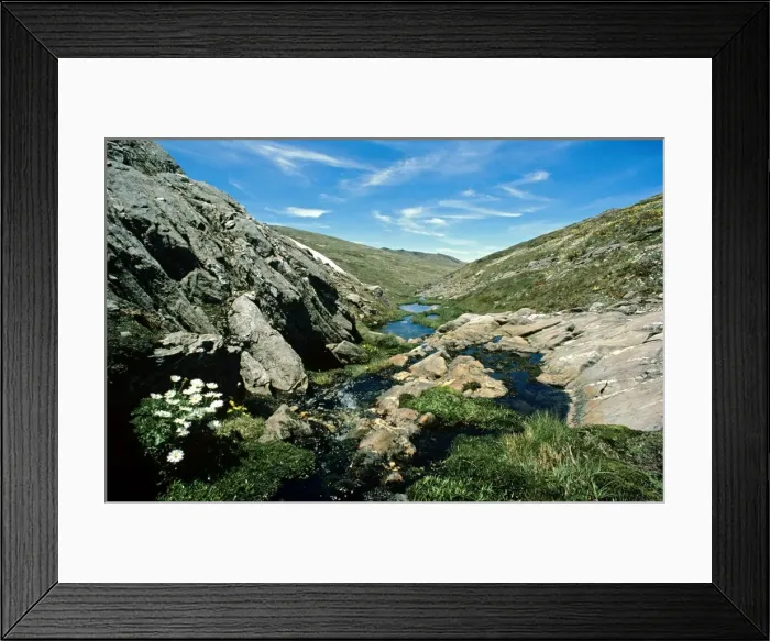 Framed Print : Mountain creek in spring Kosciuszko National Park, New South Wales, Australia JPF02815 Framed Print : Mountain creek in spring Kosciuszko National Park, New South Wales, Australia JPF02815