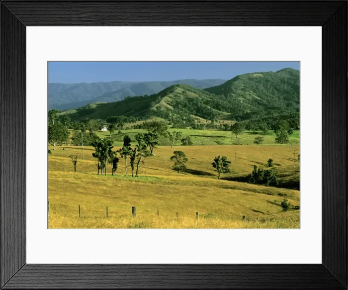 Framed Print : Rural scene Hunter Valley, New South Wales, Australia JPF52678 Framed Print : Rural scene Hunter Valley, New South Wales, Australia JPF52678