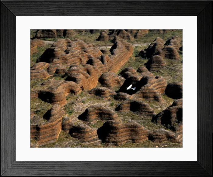 Framed Print : Aerial - Bungle Bungle Range & plane Sandstone range formed 400 million years ago from layered sediments washed into a rift valley. Eroded into ‘beehive formations and deep canyon-like valleys, Purnululu National Park
