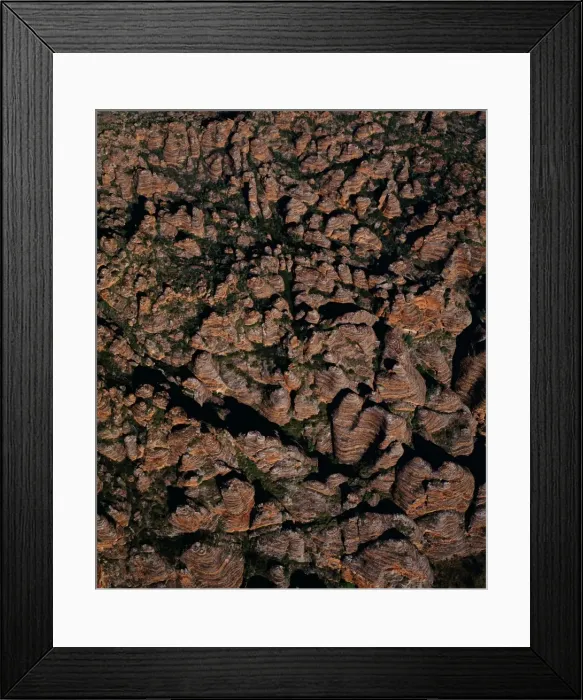 Framed Print : Aerial - Bungle Bungle Range almost vertical shot from the air of sandstone range formed 400 million years ago from layered sediments washed into a rift valley Framed Print : Aerial - Bungle Bungle Range almost vertical shot from the air of sandstone range formed 400 million years ago from layered sediments washed into a rift valley