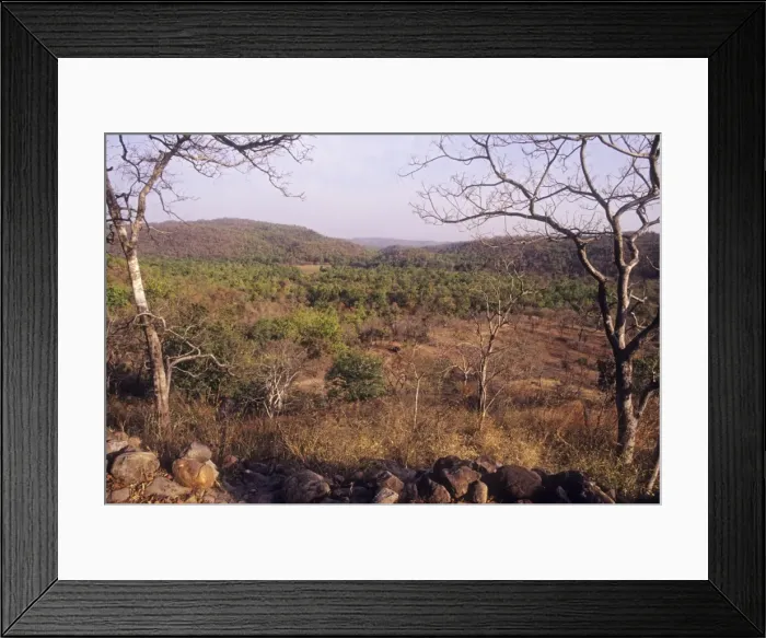Framed Print : Bandhavgarh National Park - India Framed Print : Bandhavgarh National Park - India
