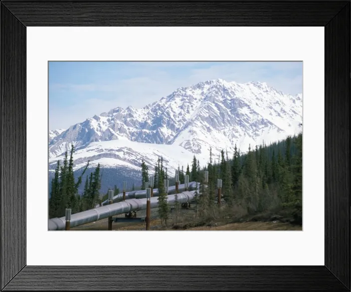 Framed Print : Oil Pipe Line Alaska Framed Print : Oil Pipe Line Alaska
