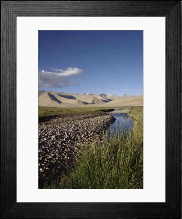 Framed Print : Tso Kar - Basin view - fresh water stream feeding into Startsapuk Tso, the fresh water twin lake of Tso Kar in the Tso Kar basin. Trans Himalyan region of Eastern Ladakh at the beginning of the Tibetan plateau. Jammu & Kashmir, India Framed Print : Tso Kar - Basin view - fresh water stream feeding into Startsapuk Tso, the fresh water twin lake of Tso Kar in the Tso Kar basin. Trans Himalyan region of Eastern Ladakh at the beginning of the Tibetan plateau. Jammu & Kashmir, India