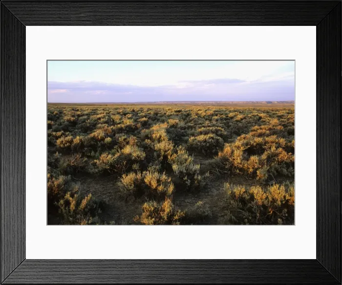 Framed Print : USA - Prairie in Wyoming Framed Print : USA - Prairie in Wyoming