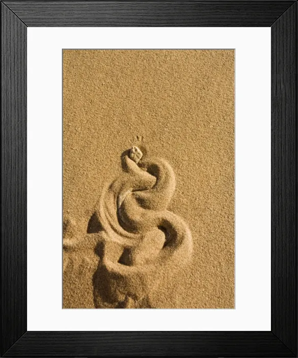 Framed Print : Peringuey's Adder Burying itself in the sand leaving a distincts pattern Namib Dunes, Namibia, Africa Framed Print : Peringuey's Adder Burying itself in the sand leaving a distincts pattern Namib Dunes, Namibia, Africa