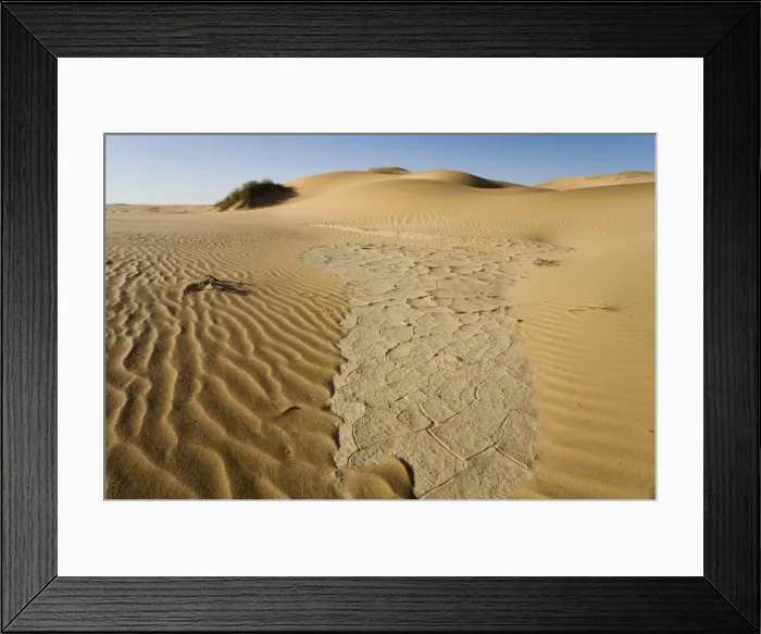 Framed Print : Cracked clay in the dunes Remnants of the sparse rainfall Namib Desert, Namibia, Africa Framed Print : Cracked clay in the dunes Remnants of the sparse rainfall Namib Desert, Namibia, Africa