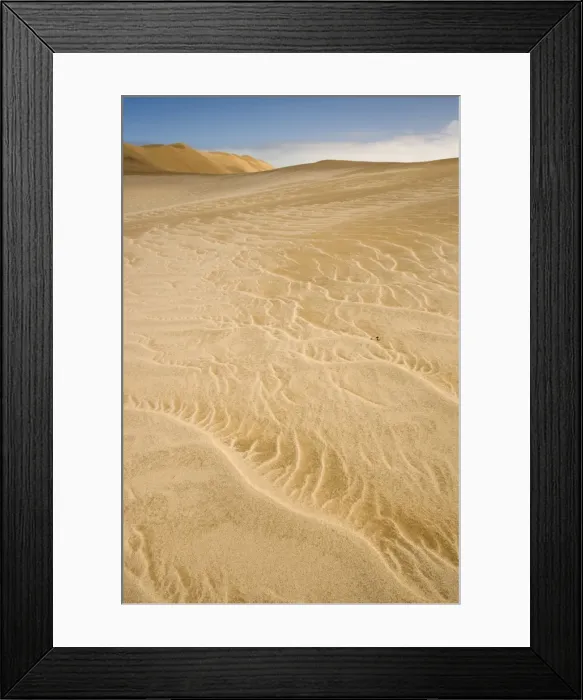 Framed Print : Peringuey's Adder - Sidewinding across patterned white and yellow dune sand - Namib Desert - Namibia - Africa Framed Print : Peringuey's Adder - Sidewinding across patterned white and yellow dune sand - Namib Desert - Namibia - Africa