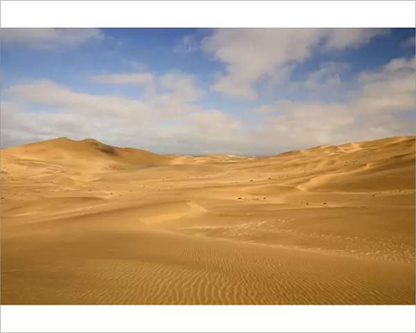 Dune scene - under a blue sky with light clouds - Dune Fields - Namib Desert - Namibia - Africa