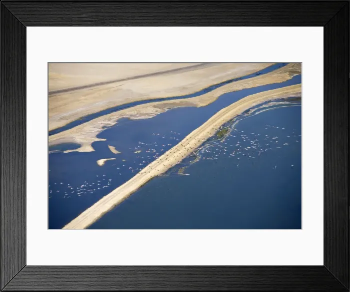 Framed Print : Flamingos in flight over water - saltpans near Swakopmung - Namib Desert - Namibia - Africa Framed Print : Flamingos in flight over water - saltpans near Swakopmung - Namib Desert - Namibia - Africa
