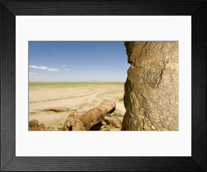 Framed Print : Western Keeled Snake - lying against a near vertical rock face with the desert in the background - Namib Desert - Namibia - Africa Framed Print : Western Keeled Snake - lying against a near vertical rock face with the desert in the background - Namib Desert - Namibia - Africa
