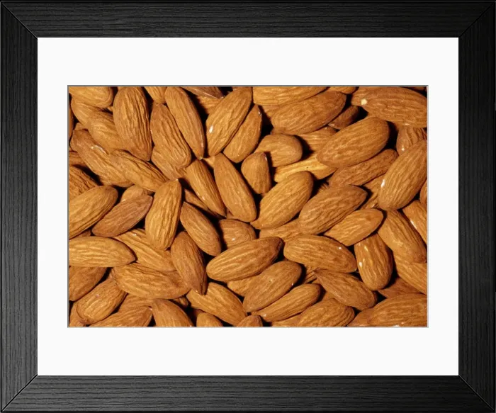 Framed Print : Almonds - whole, shelled, roasted. Native to Central Asia Framed Print : Almonds - whole, shelled, roasted. Native to Central Asia