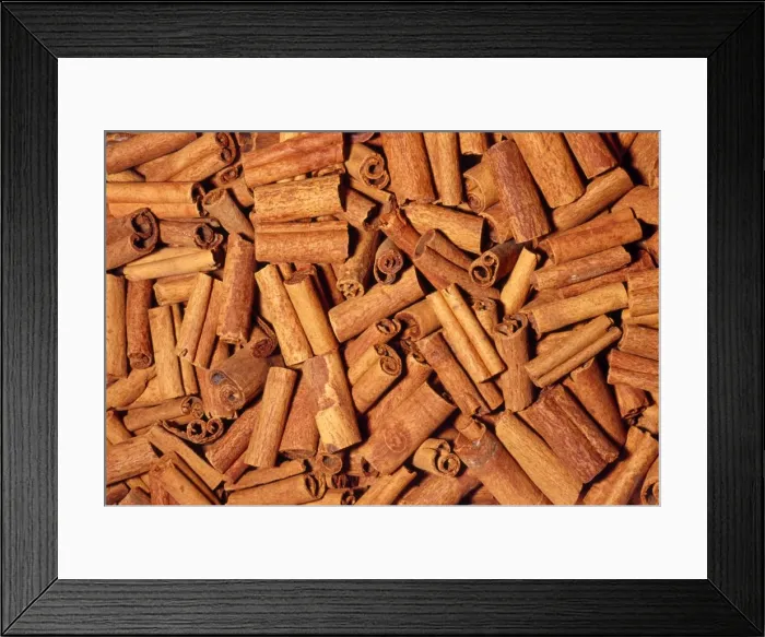 Framed Print : Cinnamon Sticks - dried bark Native to Southern China, India Framed Print : Cinnamon Sticks - dried bark Native to Southern China, India
