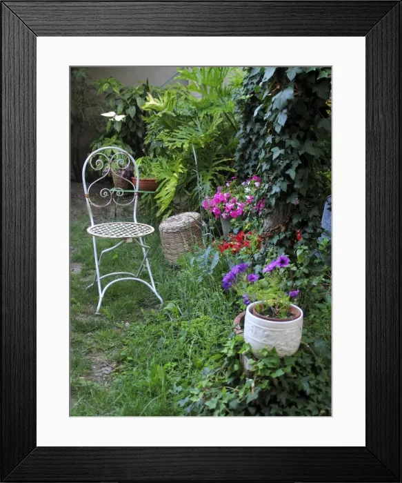 Framed Print : Garden - with flowers and chair Framed Print : Garden - with flowers and chair
