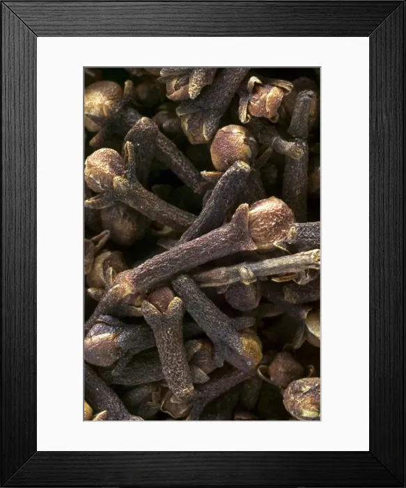 Framed Print : Cloves. LA-796. Cloves. Jean Michel Labat Framed Print : Cloves. LA-796. Cloves. Jean Michel Labat