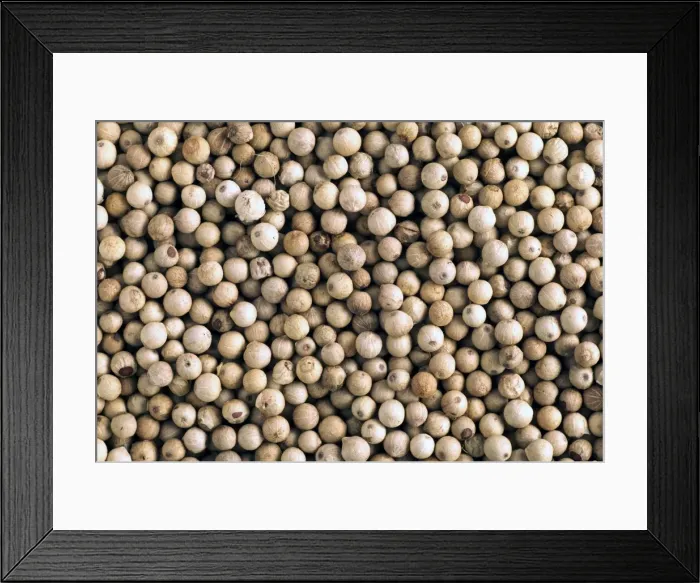 Framed Print : White Peppercorns Framed Print : White Peppercorns