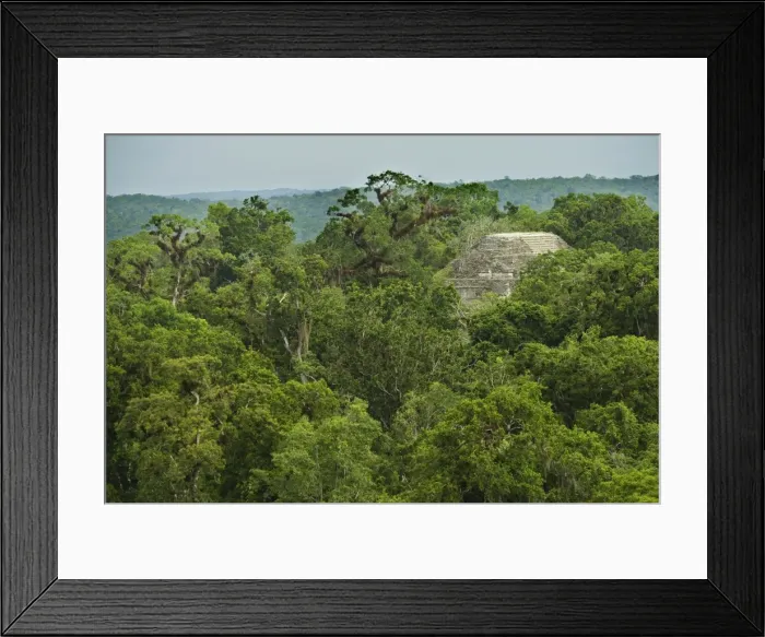 Framed Print : Tikal Site - Rainforest - Guatemala Framed Print : Tikal Site - Rainforest - Guatemala