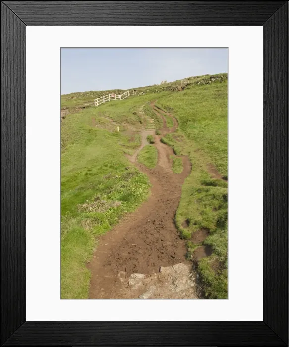 Framed Print : Footpath - worn cliff path. Caerthillian National Nature Reserve The Lizard Cornwall UK Framed Print : Footpath - worn cliff path. Caerthillian National Nature Reserve The Lizard Cornwall UK