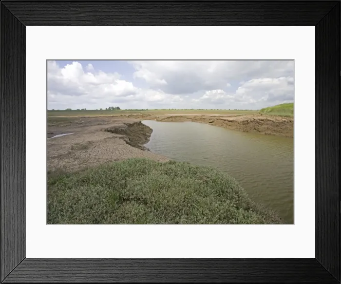 Framed Print : Flood channel to man-made salt marsh Freiston Shore Lincolnshire UK Framed Print : Flood channel to man-made salt marsh Freiston Shore Lincolnshire UK