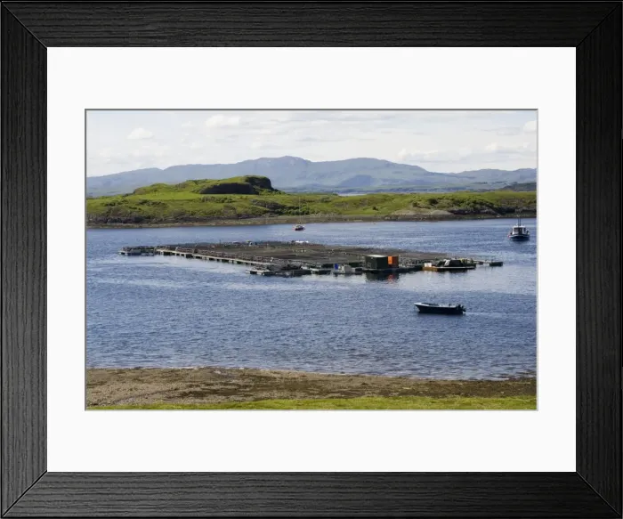 Framed Print : Salmon farm near Craignure, Isle of Mull, Scotland Framed Print : Salmon farm near Craignure, Isle of Mull, Scotland