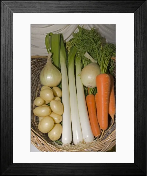 Framed Print : Basket of prizewinning vegetables at Moreton-in-Marsh agricultural show, September 2006, Cotswolds, UK Framed Print : Basket of prizewinning vegetables at Moreton-in-Marsh agricultural show, September 2006, Cotswolds, UK