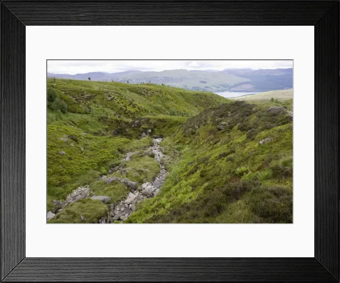 Framed Print : Scotland - Ben Lawers National Nature Reserve, showing rich growth of varied flora following fencing out of deer and sheep. Heavily grazed areas can be seen in background Framed Print : Scotland - Ben Lawers National Nature Reserve, showing rich growth of varied flora following fencing out of deer and sheep. Heavily grazed areas can be seen in background