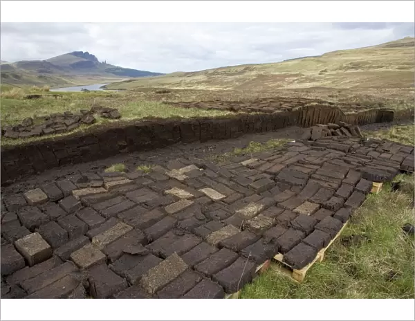 Peat cutting with blocks drying Isle of Skye, Scotland