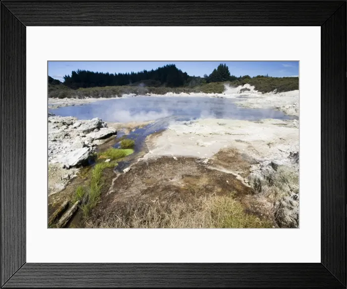 Framed Print : Hell's Gate / Tikitere geothermal reserve - Green vegetation in cold water stream inlet. Rotorua - North Island - New Zealand Framed Print : Hell's Gate / Tikitere geothermal reserve - Green vegetation in cold water stream inlet. Rotorua - North Island - New Zealand