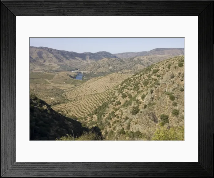 Framed Print : Olive groves in Parque Natural do Douro International Portugal Framed Print : Olive groves in Parque Natural do Douro International Portugal
