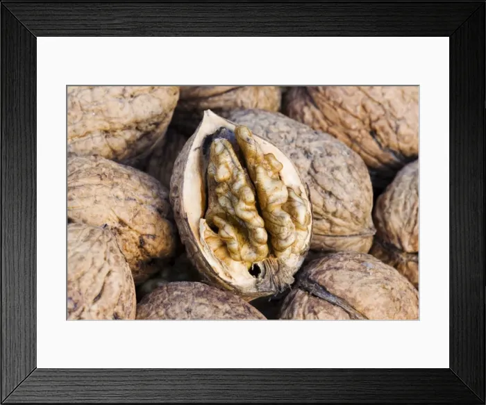 Framed Print : Walnuts - closeup of basket with single fruit opened to expose the edible walnut seed Framed Print : Walnuts - closeup of basket with single fruit opened to expose the edible walnut seed