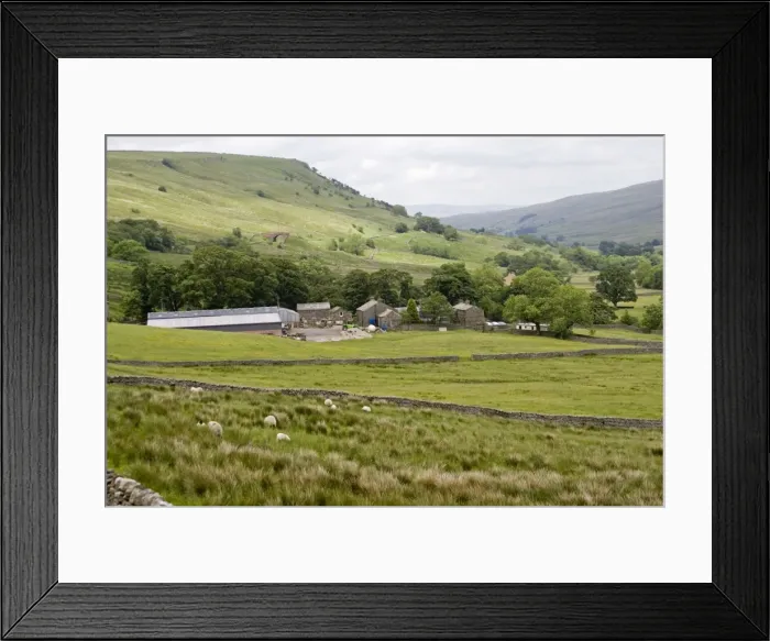 Framed Print : Isolated farm buildings North Yorkshire Moors near Kirby Stephen UK Framed Print : Isolated farm buildings North Yorkshire Moors near Kirby Stephen UK