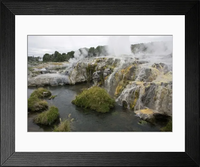 Framed Print : Prince of Wales Feather Geyser. Te Puia Thermal Reserve - Whakarewarewatanga Thermal Valley - Rotorua - New Zealand Framed Print : Prince of Wales Feather Geyser. Te Puia Thermal Reserve - Whakarewarewatanga Thermal Valley - Rotorua - New Zealand