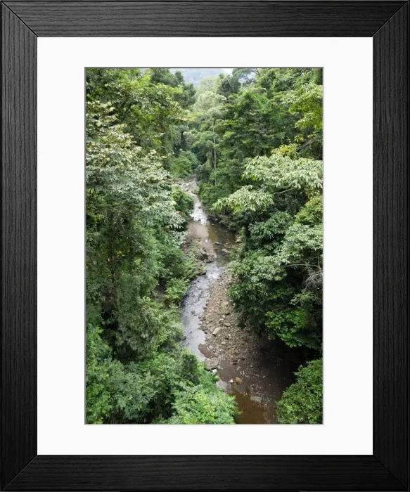 Framed Print : View on canopy and creek of rainforest from suspension bridge - Danum Valley Conservation Area - Sabah - Borneo - Malaysia Framed Print : View on canopy and creek of rainforest from suspension bridge - Danum Valley Conservation Area - Sabah - Borneo - Malaysia