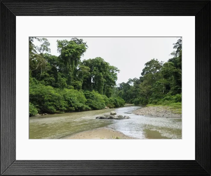 Framed Print : Segama river at lowland rainforest of Danum Valley Conservation Area - Sabah - Borneo - Malaysia Framed Print : Segama river at lowland rainforest of Danum Valley Conservation Area - Sabah - Borneo - Malaysia