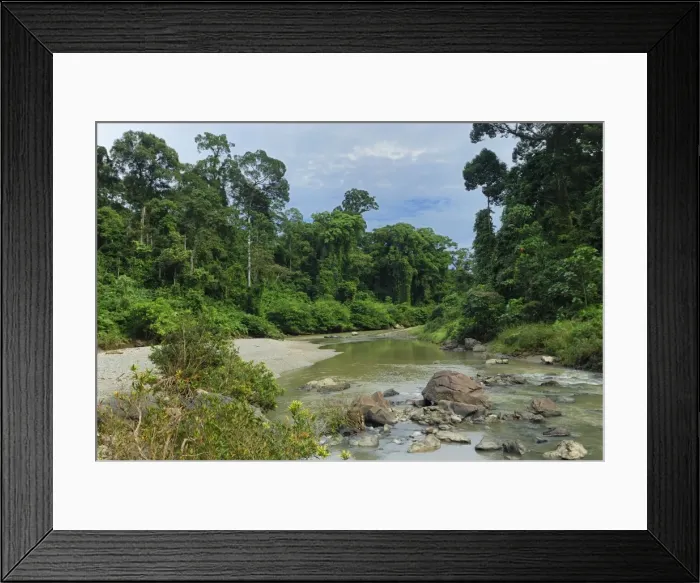 Framed Print : Segama river at lowland rainforest of Danum Valley Conservation Area - Sabah - Borneo - Malaysia Framed Print : Segama river at lowland rainforest of Danum Valley Conservation Area - Sabah - Borneo - Malaysia