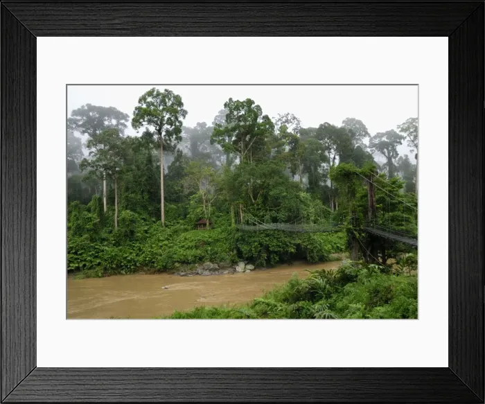 Framed Print : Segama river at lowland rainforest of Danum Valley Conservation Area - Sabah - Borneo - Malaysia Framed Print : Segama river at lowland rainforest of Danum Valley Conservation Area - Sabah - Borneo - Malaysia