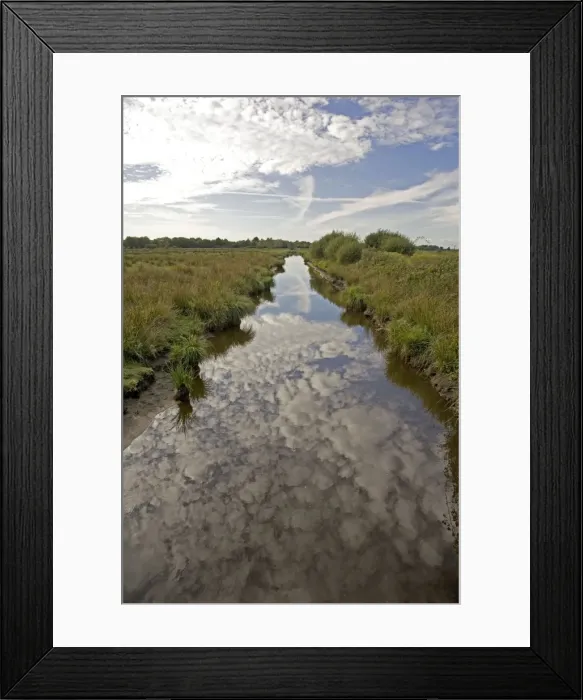 Framed Print : Canal in marshy wetlands Parc Naturel de Briere Brittany France Framed Print : Canal in marshy wetlands Parc Naturel de Briere Brittany France